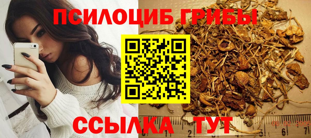 Псилоцибиновые грибы мицелий Кубинка