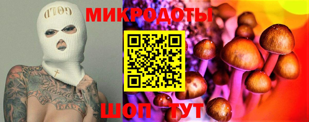 Псилоцибиновые грибы Psilocybine cubensis  Вход с VPN  Галлюциногенные грибы прущие грибы  Кубинка 